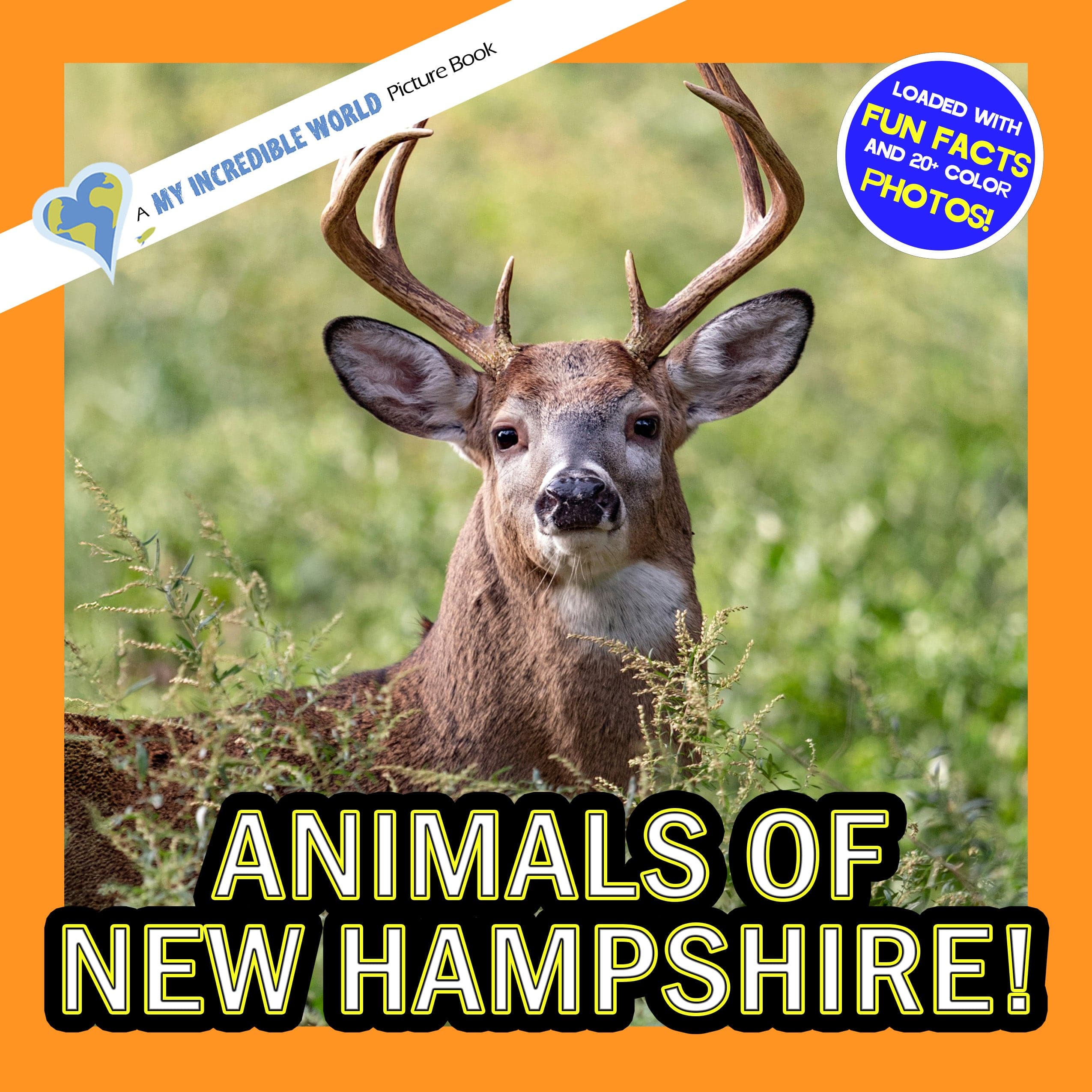 Animals of New Hampshire! A My Incredible World Picture Book for Children